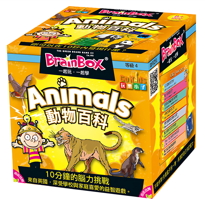 BRAINBOX 大腦益智盒, 土黃色, 1個