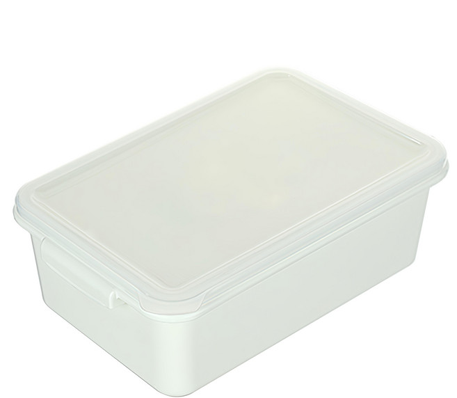 KEYWAY 聯府 小島零下30°C保鮮盒 7.5L, 1個, 1個
