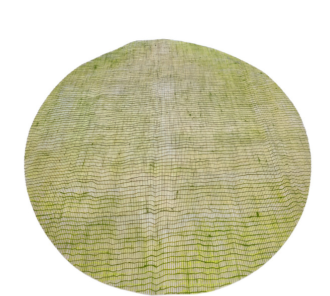 modern-twist 橢圓餐墊, 蘋果綠色, 40.6 x 35.5cm, 1個