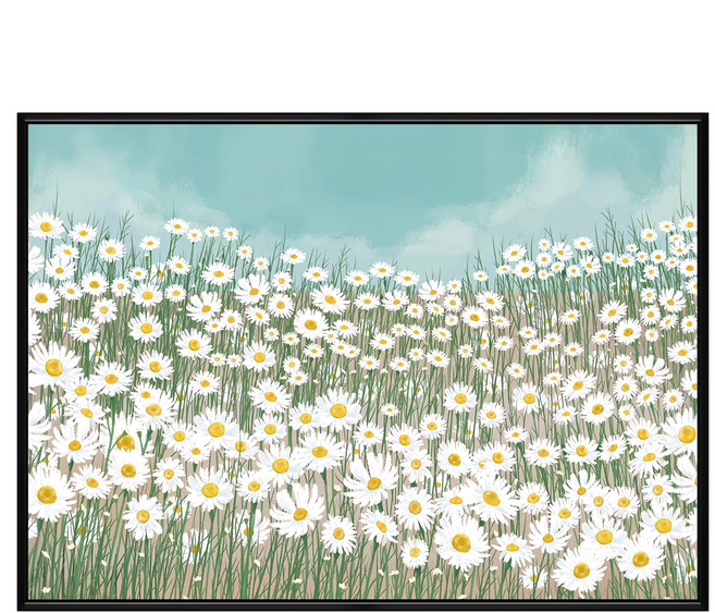 BOLUO GALLERY 菠蘿選畫所 天空下的白雛菊 BFFD3410B 掛畫, 黑色