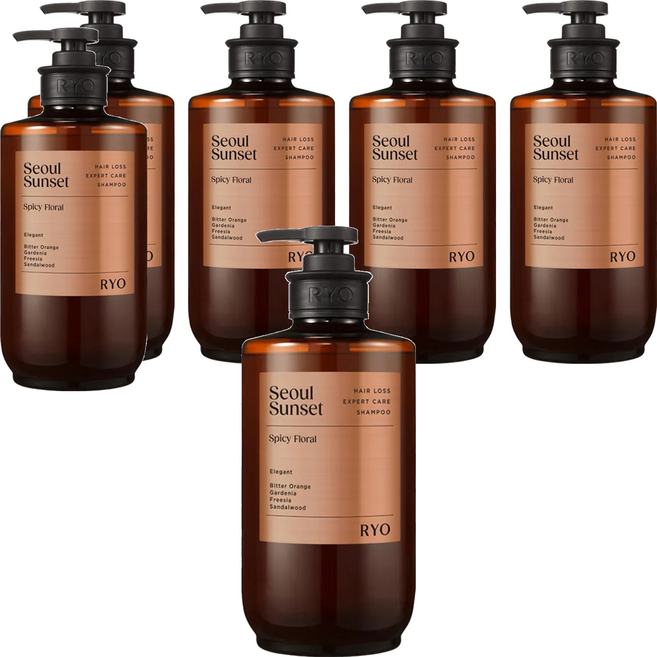 RYO 呂 強韌髮根香氛洗髮精 首爾夕陽, 585ml, 6瓶