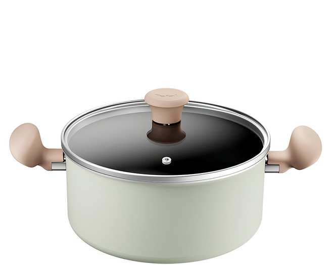 Tefal 特福 抹茶時光系列 不沾雙耳湯鍋加蓋, 24cm, 綠色, 1個