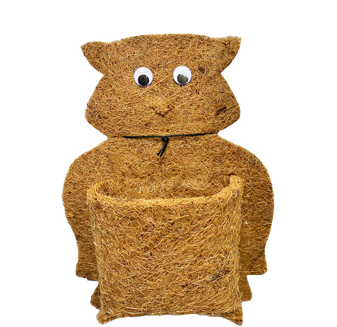 小美紀 盆栽, 貓頭鷹 褐色, 1個