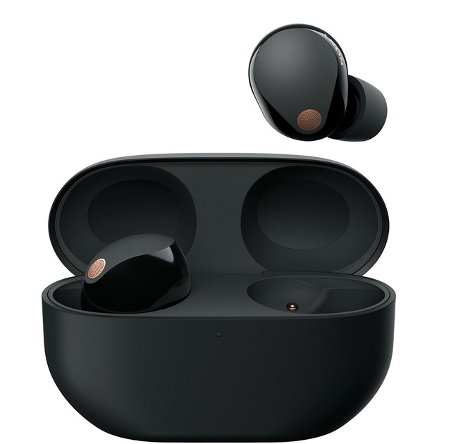 SONY 索尼 主動降噪藍芽耳機 原廠保固, WF-1000XM5, 黑色