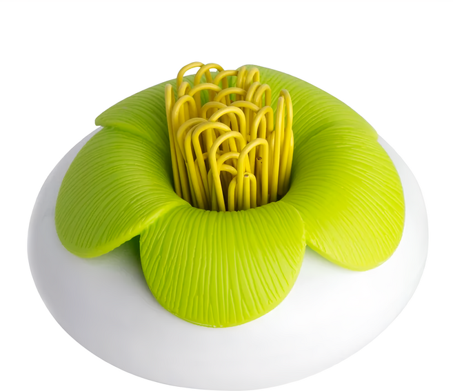 QUALy Blossom Pod 山茶花置物罐, 白色 + 綠色, 1個