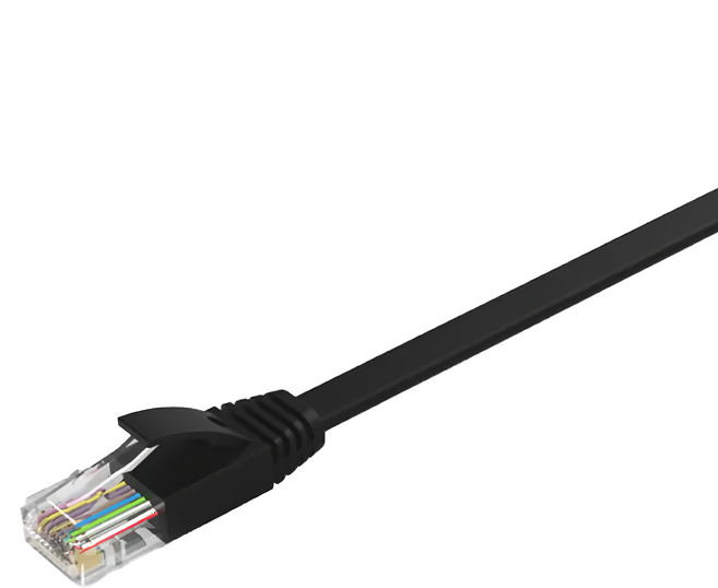 POLYWELL 寶利威爾 CAT6扁線高速網路線 RJ45 福祿克認證 PW15-W59-A410, 20m, 黑色, 1條