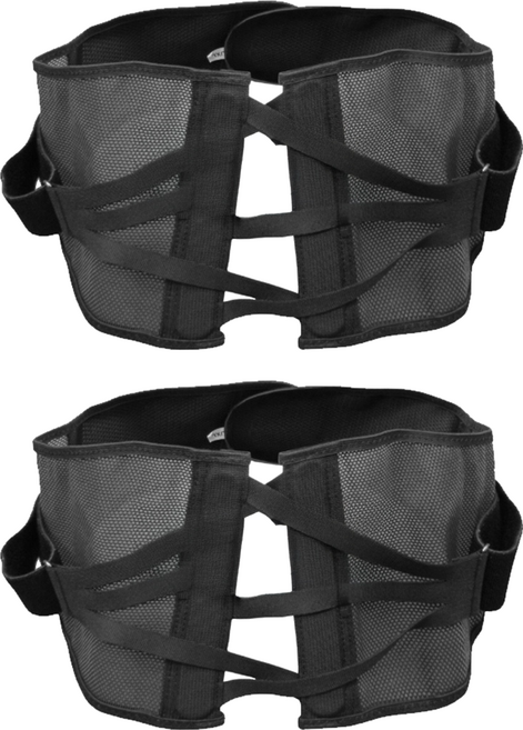 Oswell 丹力 軀幹護具 未滅菌 省力型三叉式護腰 S-53, 2個