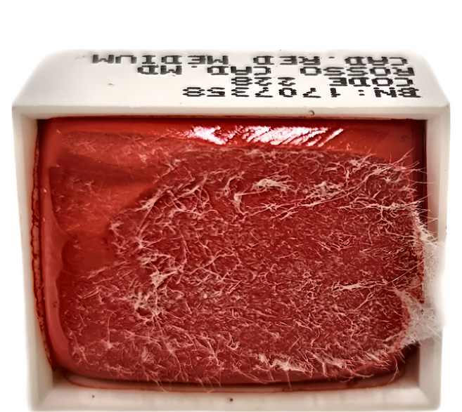 MAIMERI 美利藍 塊狀水彩 S4 228 中調鉻紅 CADMIUM RED MEDIUM, 1.5ml, 1色