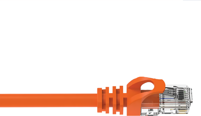 POLYWELL 寶利威爾 CAT6 高速網路線 RJ45 福祿克認證 PW15-W58-F100, 10m, 橘色, 1條