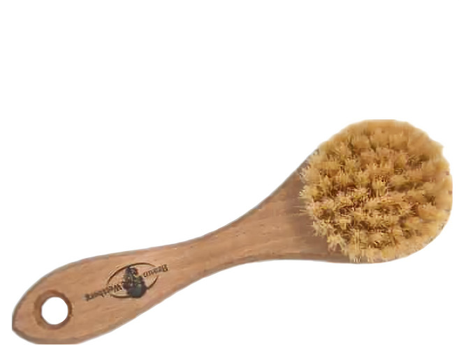 Braun Wettberg 珀薇 德國製 白豚鬃角質潔顏刷 洗面刷 面膜刷, 混色, 1支