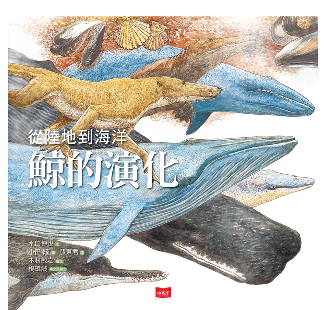 小天下 從陸地到海洋 鯨的演化, 精裝