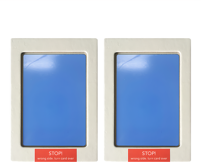 毛皇上 寵物印泥 大號 淺藍色 (免洗寵物手足印紀念), 2個