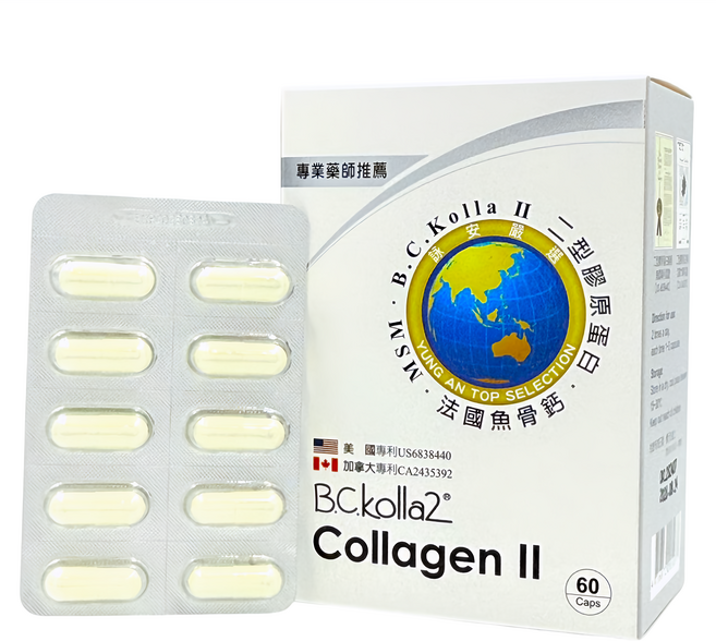 護關鍵 二型膠原蛋白 膠囊, 60顆, 600mg, 1盒
