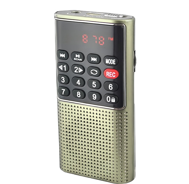 Dennys 丹尼斯 多功能插卡喇叭 原廠保固, MS-K588, 金色