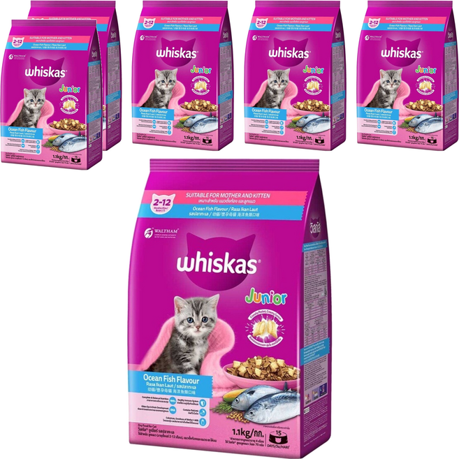 whiskas 偉嘉 幼貓/懷孕母貓專用 乾飼料, 海洋魚類口味, 1.1kg, 6袋