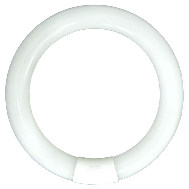 旭光 LED T9環型燈管 15W 6500K, 晝光色, 1個