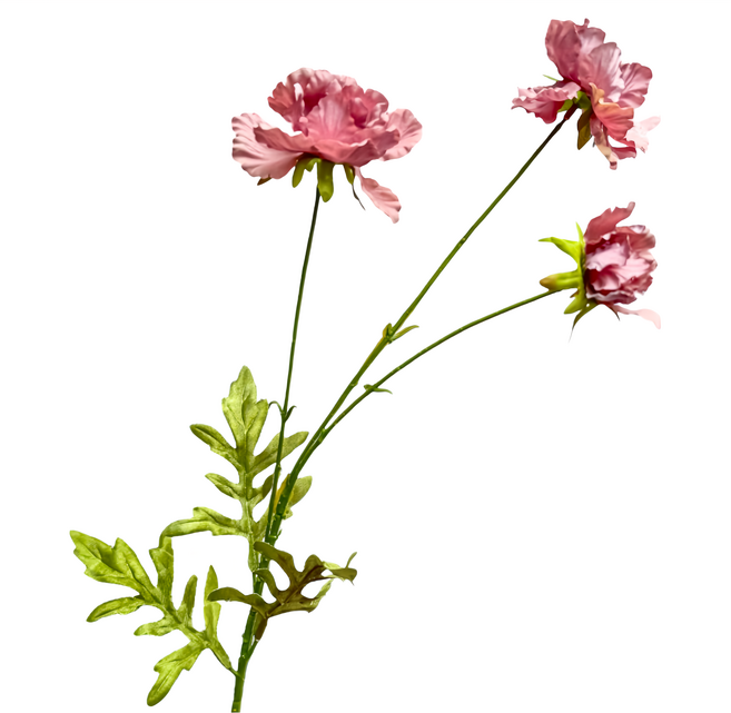 Floral M 花藝 仿真花 夏日森系小雛菊3朵, 1件, 戴安娜粉