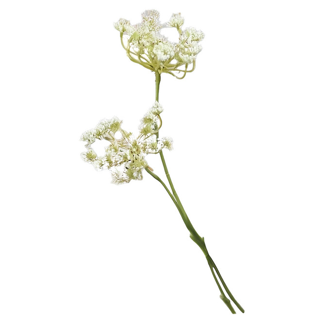 FLORAL M 安妮公主蕾絲花仿真花花材 2支 居家裝飾, 白色
