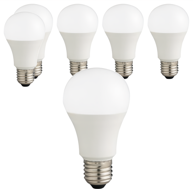 EVERLIGHT 億光 超節能LED球泡燈 9W, 白光, 6顆