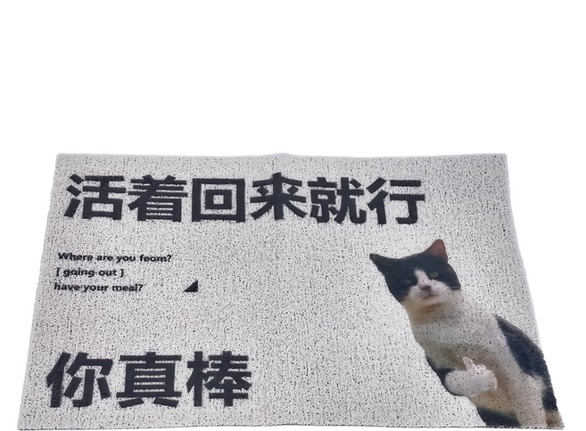 臥室地墊 PVC材質 矩形 絲圈材質 防滑耐磨, D款 活著回來就行 白色, 1個
