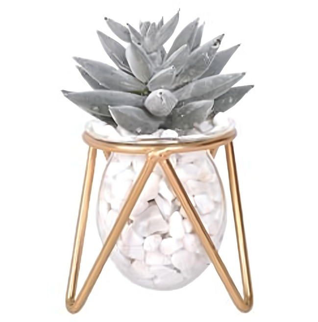 eclat 匠心花藝玻璃金工室內藝術擺飾仿真花藝組 含白石 總高12~17cm 鐵架7.5 x 7.5 x 7.5cm 瓶7.5 x 6.5 x 6.5cm 400g, 仙人指, 1組