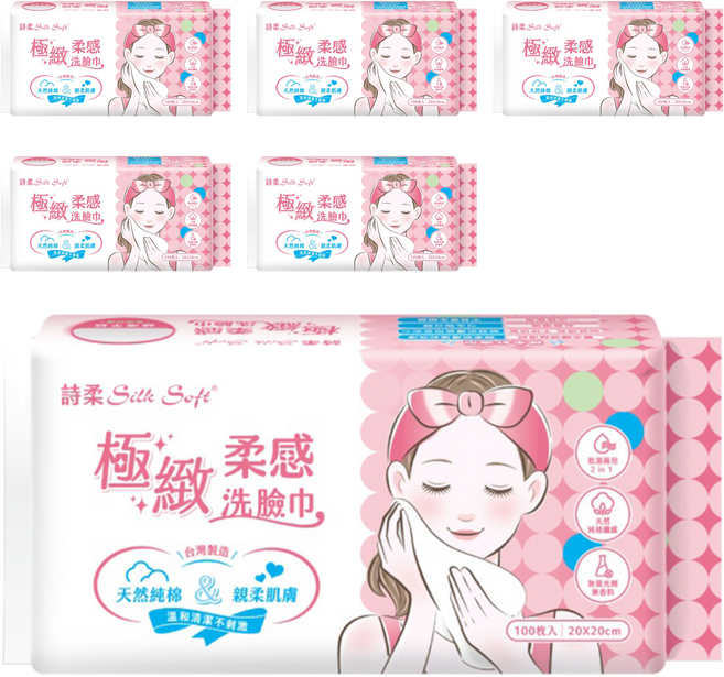 南六 詩柔 洗臉巾 極緻柔感 100張, 6包