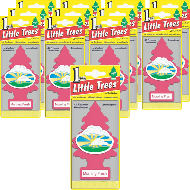 Little Trees 小樹香片 香氛卡, 晨曦, 7g, 12片