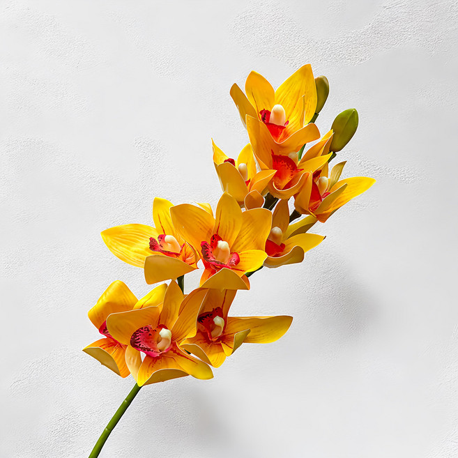 Floral M 花藝 仿真花 居家輕奢高級蝴蝶蘭花材, 1個, 魅力黃