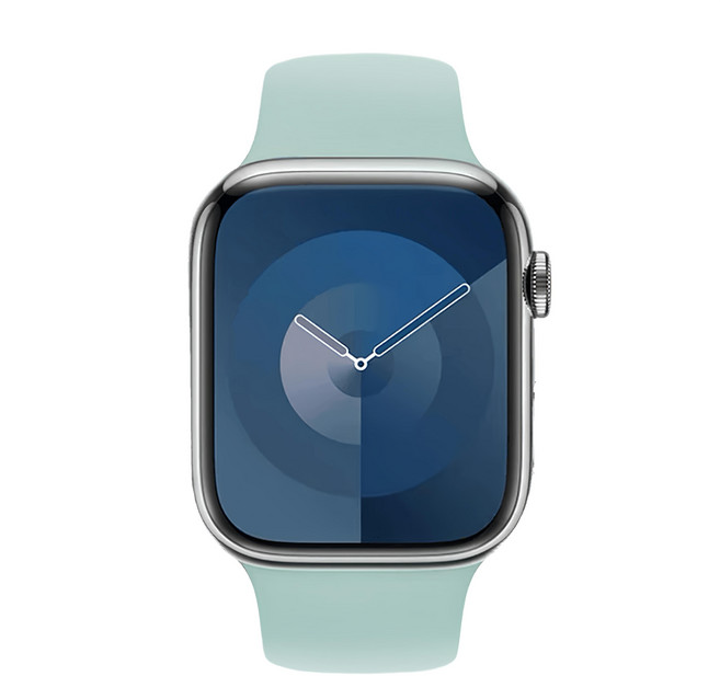 OMG Apple Watch 10 純色矽膠錶帶 42mm, 寶石綠, 1個