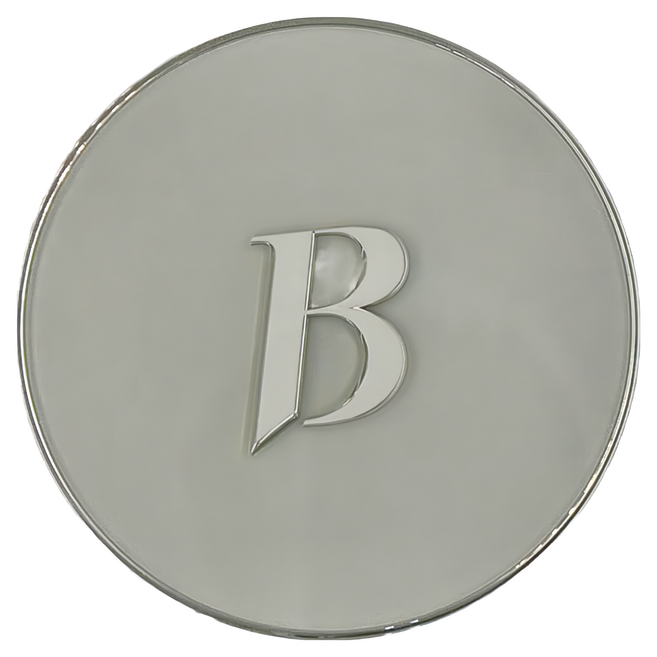 BANILA CO 芭妮蘭 台灣公司貨 超完美持久無瑕氣墊粉餅 14g, 19L 白皙色, 1盒