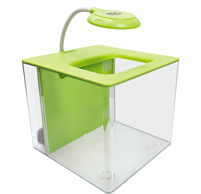 crab aqua 小螃蟹 懶人背濾缸, 綠色, 1個