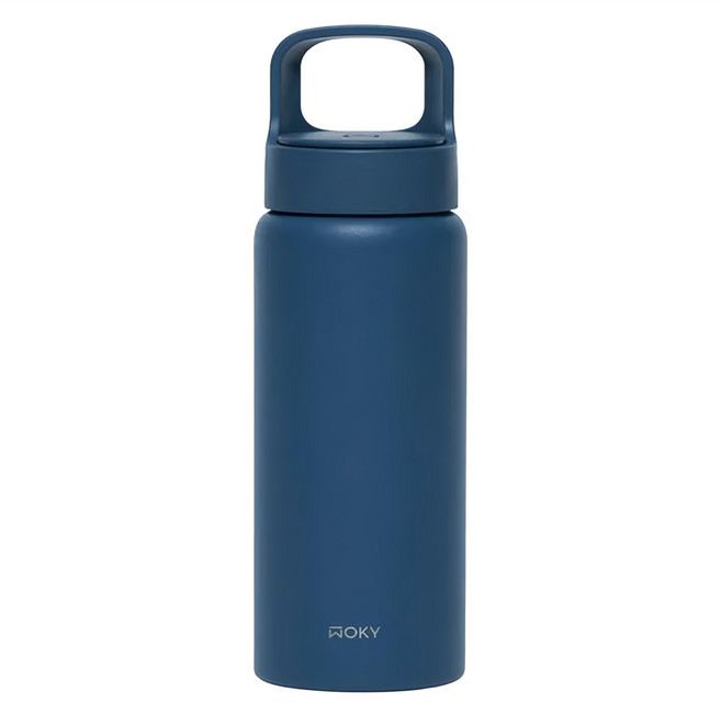 WOKY 沃廚 台灣公司貨 輕芯鈦提手運動保溫瓶, 晴藍色, 600ml, 1個