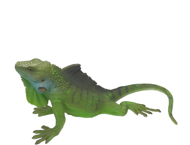 COLLECTA 永嘩 兩棲動物系列, 美洲鬃蜥, 1個