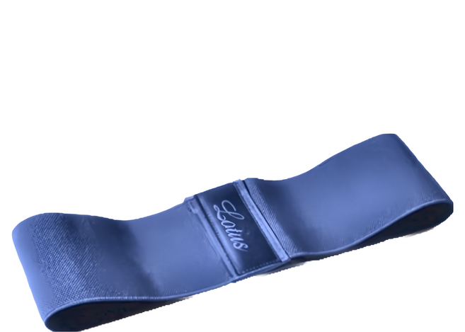 Lotus COZY FITNESS SERIES 台灣製 虐臀關鍵阻力翹臀圈 強階10kg, 藍色, 1條
