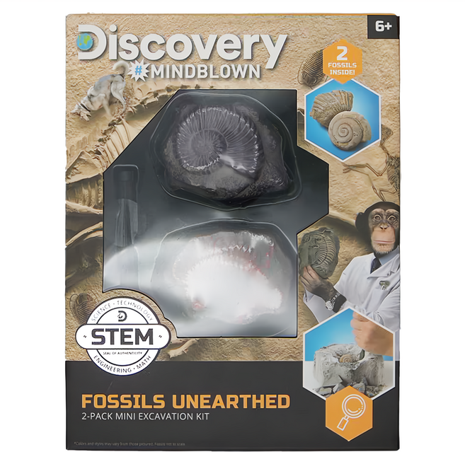 Discovery 遠古化石迷你挖掘套組 2化石, 1盒