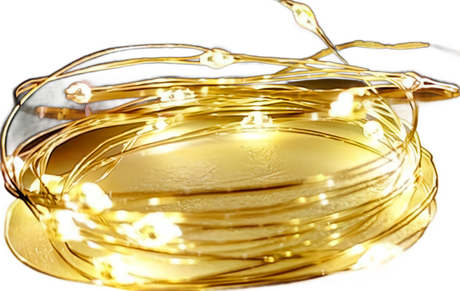 摩達客 20燈 LED銅線燈串 2公尺 USB/電池兩用, 暖白光, 1串