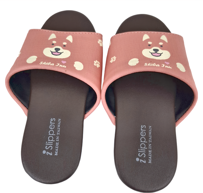 TAIWAN SLIPPER 台灣犀利趴 兒童室內拖鞋 經典親子款 180g 1雙