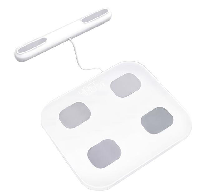 FJ 八電極智慧型體脂計, BF-1, 白色, 1台