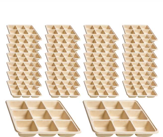 HJ 禾啟 50號植纖餐盒 九宮格, 50個, 4組