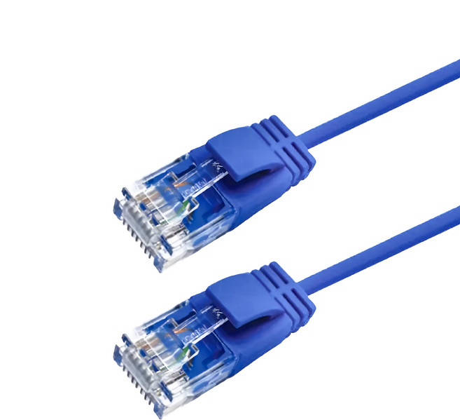 POLYWELL 寶利威爾 CAT6 極細高速網路線 RJ45 福祿克認證 PW15-W58-R150, 藍色, 15m, 1條