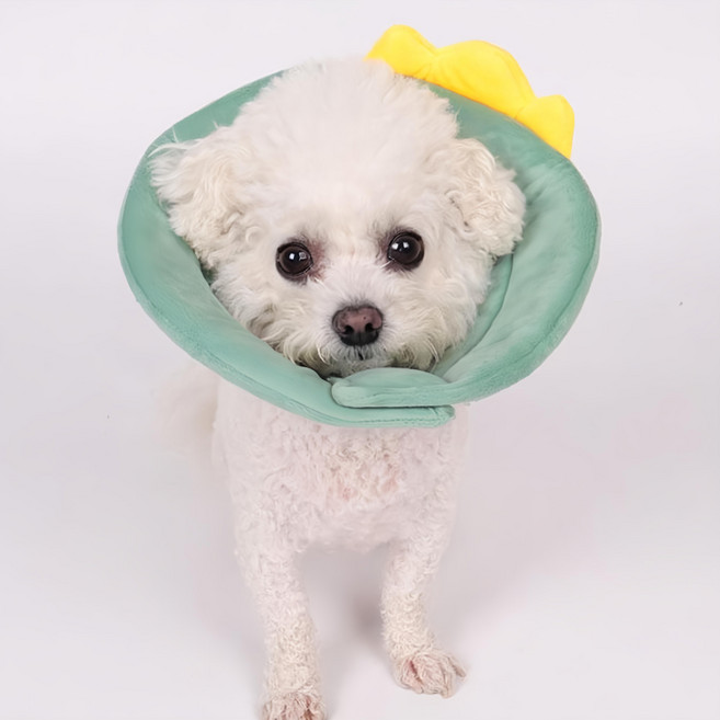 DING DONG PET 可愛伊莉寵物防舔頭套, 1個, 綠色