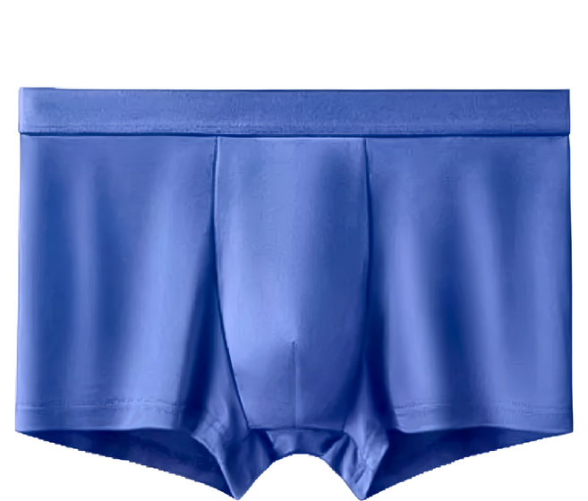 男士冰絲內褲 Set 4件 親膚透氣輕薄柔軟 速乾透氣防捲邊