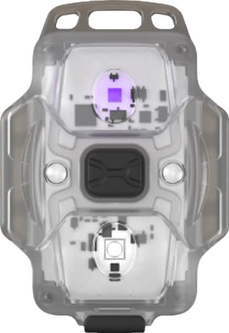 ArmyTek CRYSTAL GREY 多功能頭燈 驗鈔燈鑰匙燈 UV光, 白光, 1個