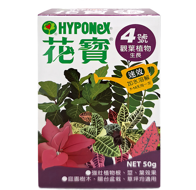 HYPONeX花寶4號 觀葉植物肥料 50g 觀葉植物生長 強化根莖葉 園藝盆栽通用, 1件
