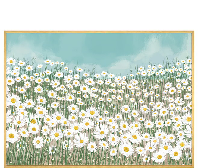 BOLUO GALLERY 菠蘿選畫所 天空下的白雛菊 BFFD4610D 掛畫, 木色