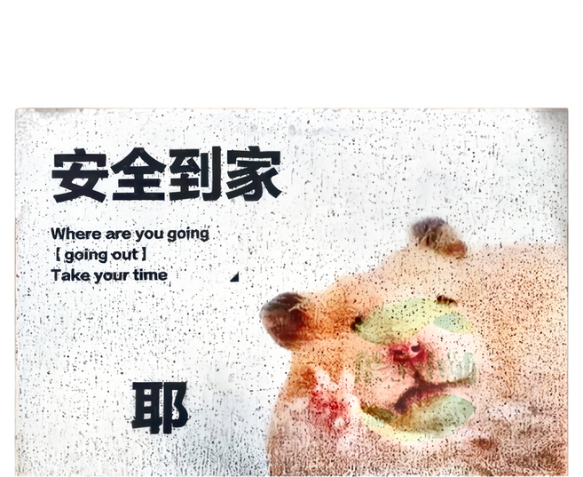 臥室地墊, F款 安全到家 白色