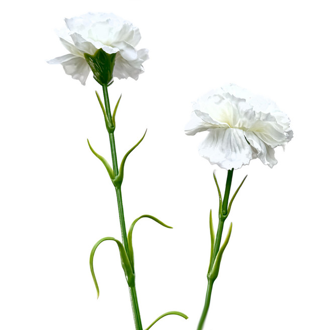 Floral M 花藝 手感保濕康乃馨優雅白仿真花材, 白色, 2支
