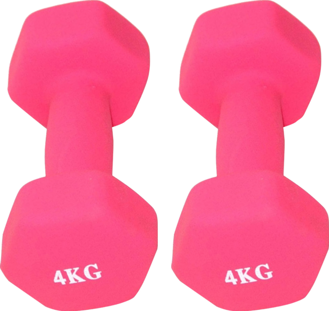 塑身小啞鈴 FB002-4, 4kg, 2個, 單一商品