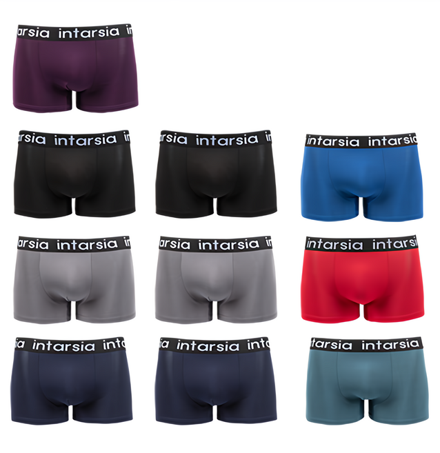 인따르시아 1100블랙에디션10P