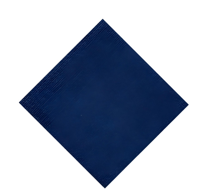 YOUFONE 日式免膠黏貼式寵物地墊 可水洗, 藍色, 1組